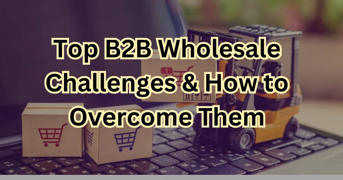 Top B2B Wholesale Challenges & How to Overcome Them