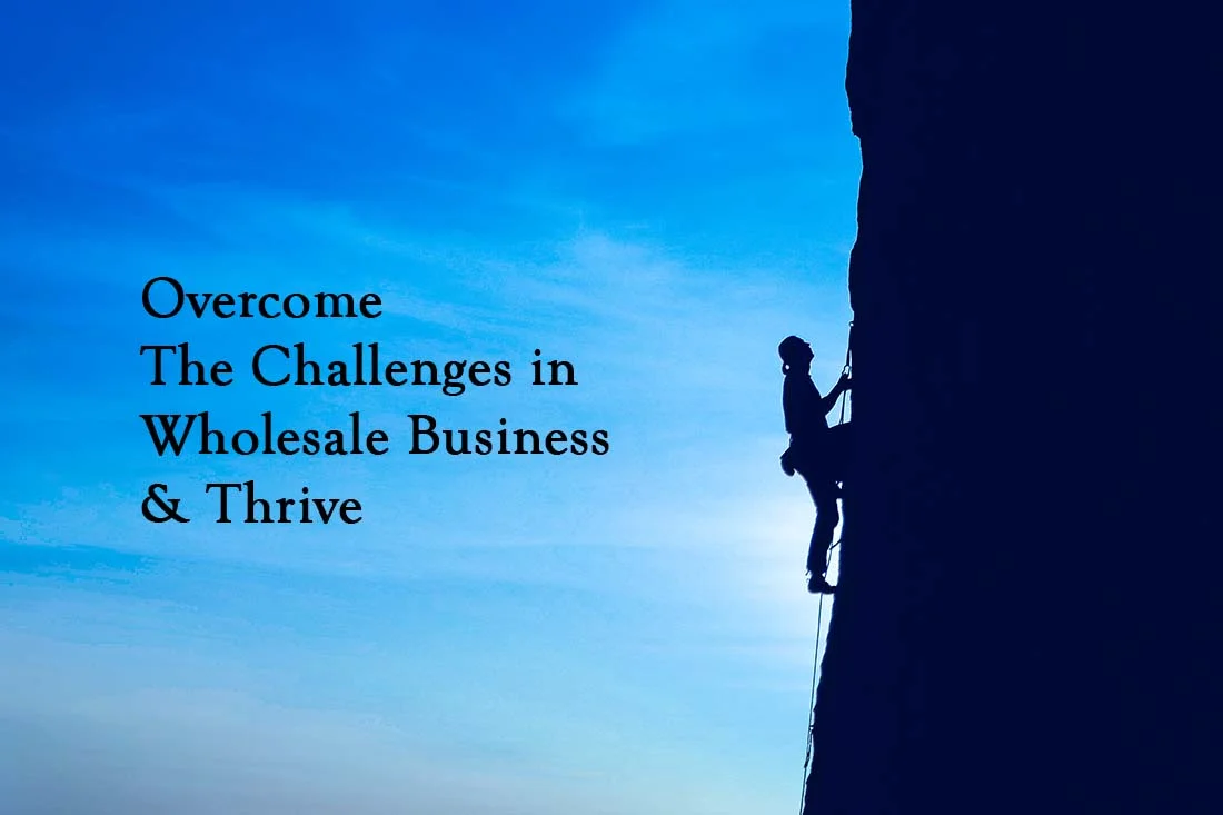 How To Overcome Challenges In The Wholesale Business & Thrive